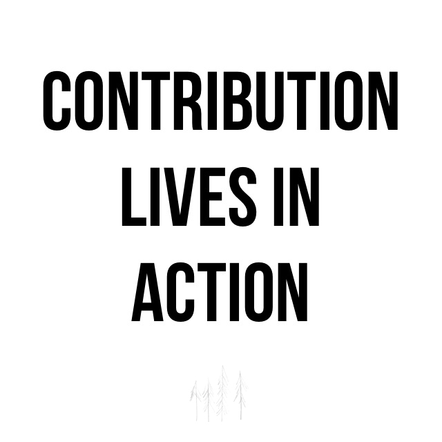 Contribution Lives In Action